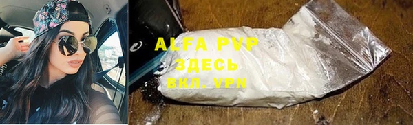 индика Нефтекумск