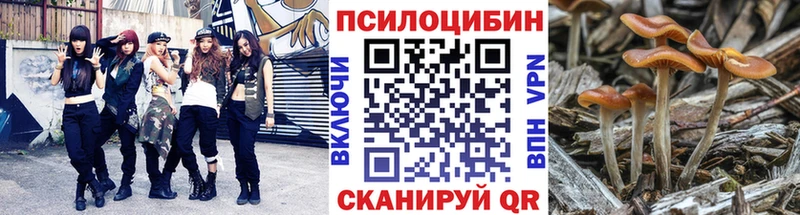 Псилоцибиновые грибы прущие грибы  дарк нет как зайти  Переславль-Залесский 