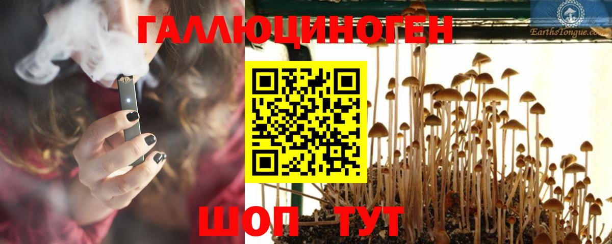 Псилоцибиновые грибы Psilocybine cubensis  Галлюциногенные грибы ЛСД  Вход с VPN  Переславль-Залесский 